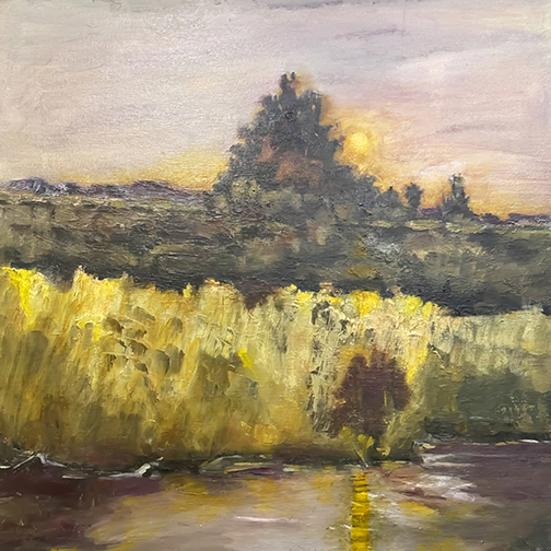 The sun sets behind a tree, a glowing orb casting golden hues on wetland rushes.